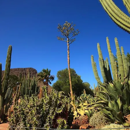 Sunny With Garden #1 Apartman *