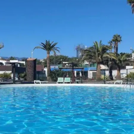 Sunny With Garden #1