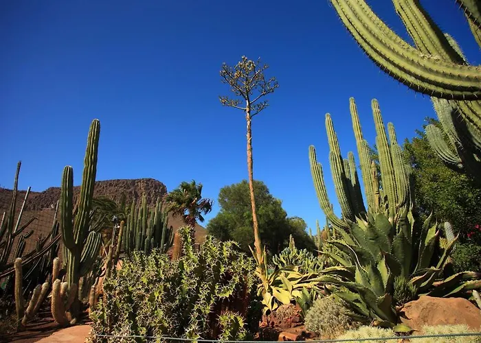 Sunny With Garden #1 Apartamento *